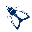 icono de insecto